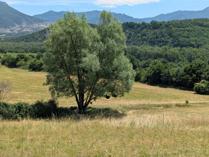 Les animaux dans le ferme